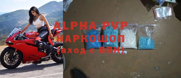 стафф Новодвинск