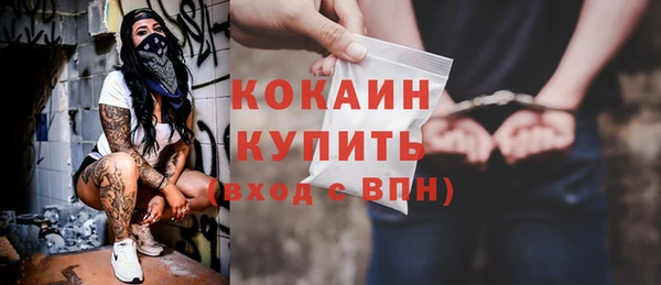 стафф Новодвинск
