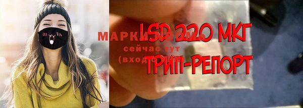 мет Новозыбков