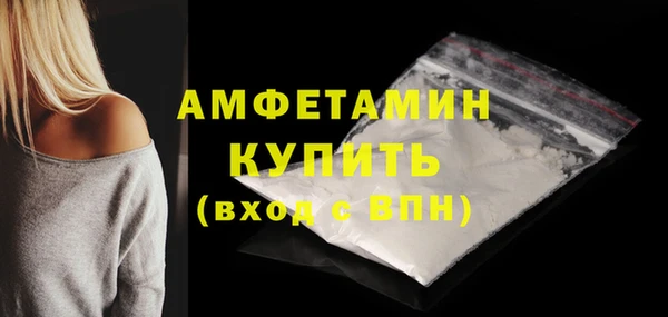 стафф Новодвинск