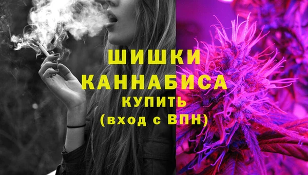 стафф Новодвинск