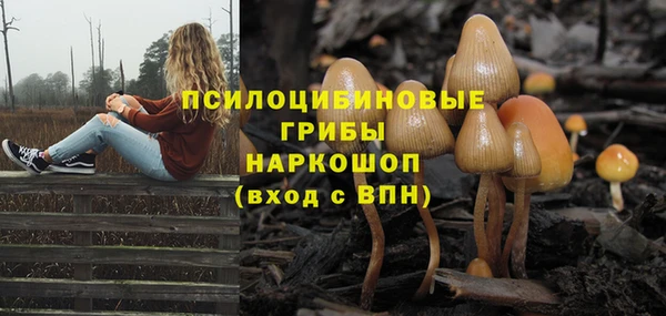 стафф Новодвинск