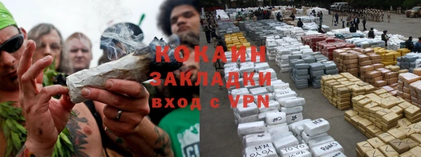 стафф Новодвинск