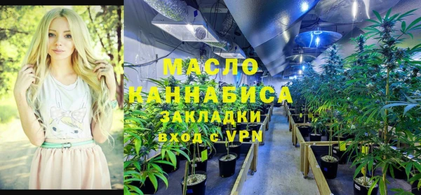мет Новозыбков