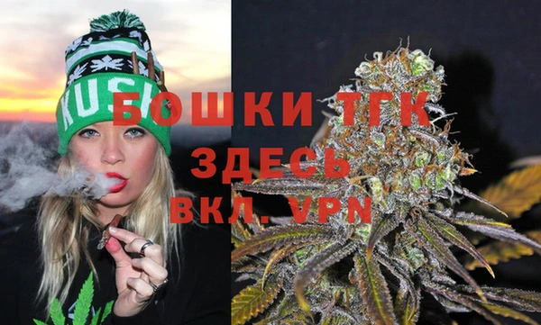 стафф Новодвинск