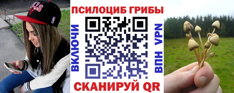 Псилоцибиновые грибы GOLDEN TEACHER магазин продажи Хотьково